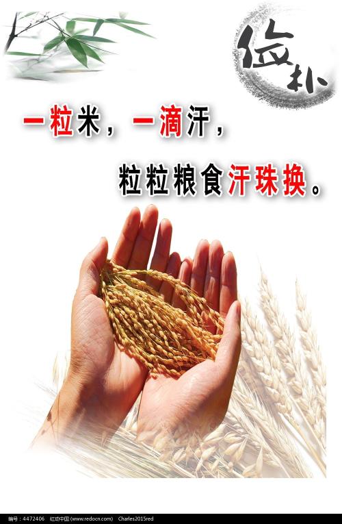 购买仿真建设银行存折样子/图片